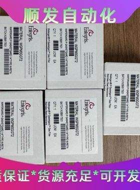 美国ENTEGRIS英特格过滤器，WGPMOGGT2现货10--议价商品