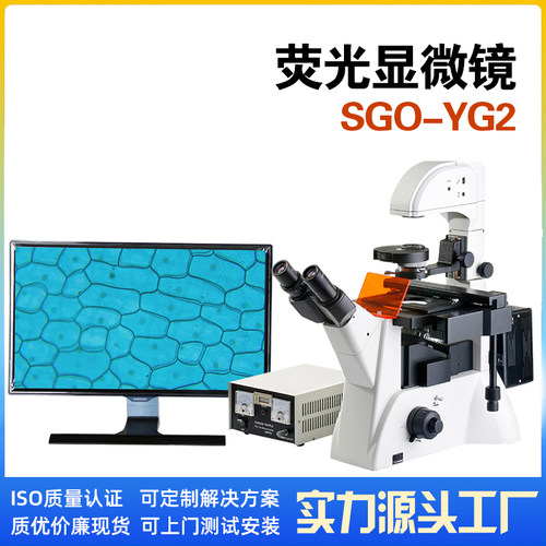 荧光显微镜YG2光谷生物显微镜