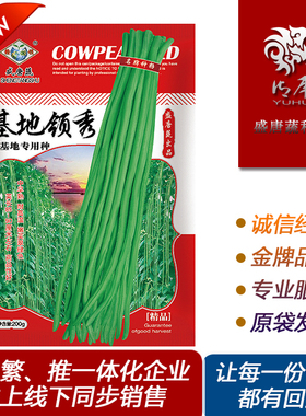 春秋长豇豆种籽豆角种长肉豆耐热菜品种翠绿色耐老化无鼠尾盛唐蔬