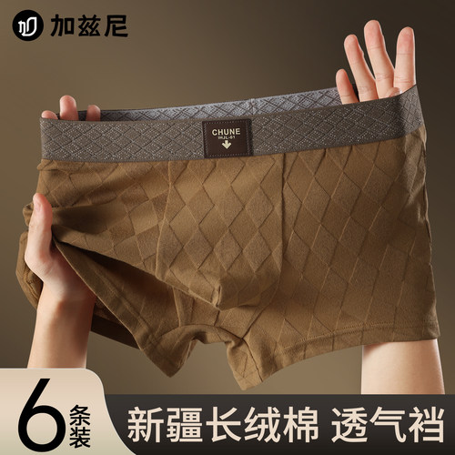 内裤男生纯棉2025新款男式短裤头