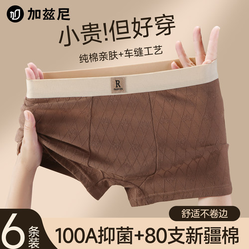 男士纯棉内裤秋冬款男式平角短裤