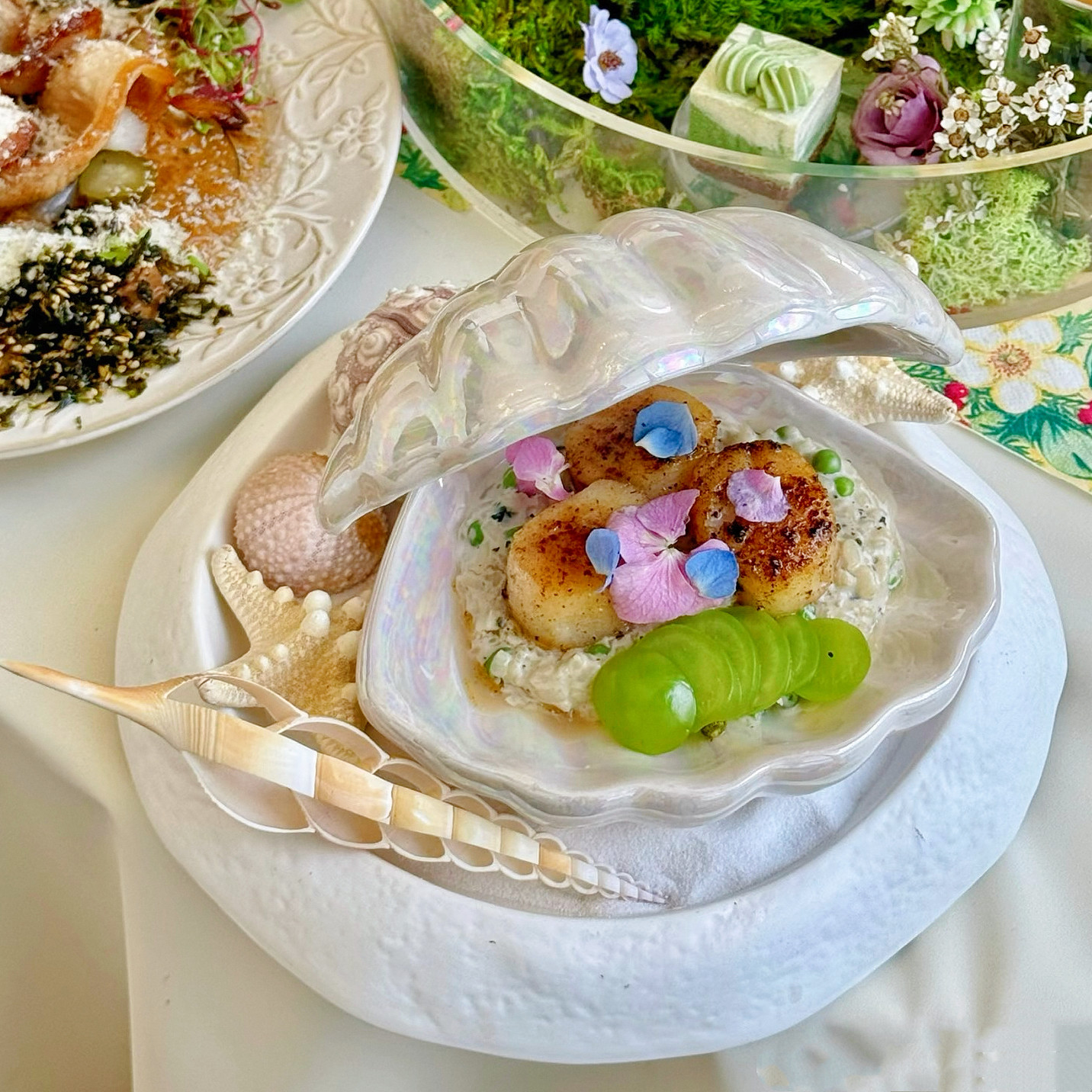 网红陶瓷贝壳造型餐盘创意餐食摆盘神器酒店分子料理异形位上餐具