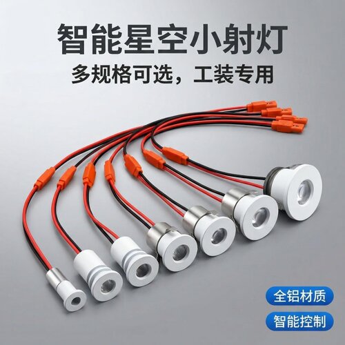 多开孔智能呼吸12V24V双色星空灯