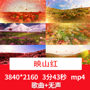 4K邓玉华原唱《映山红》歌曲配乐成品映山红舞台花海LED背景视频