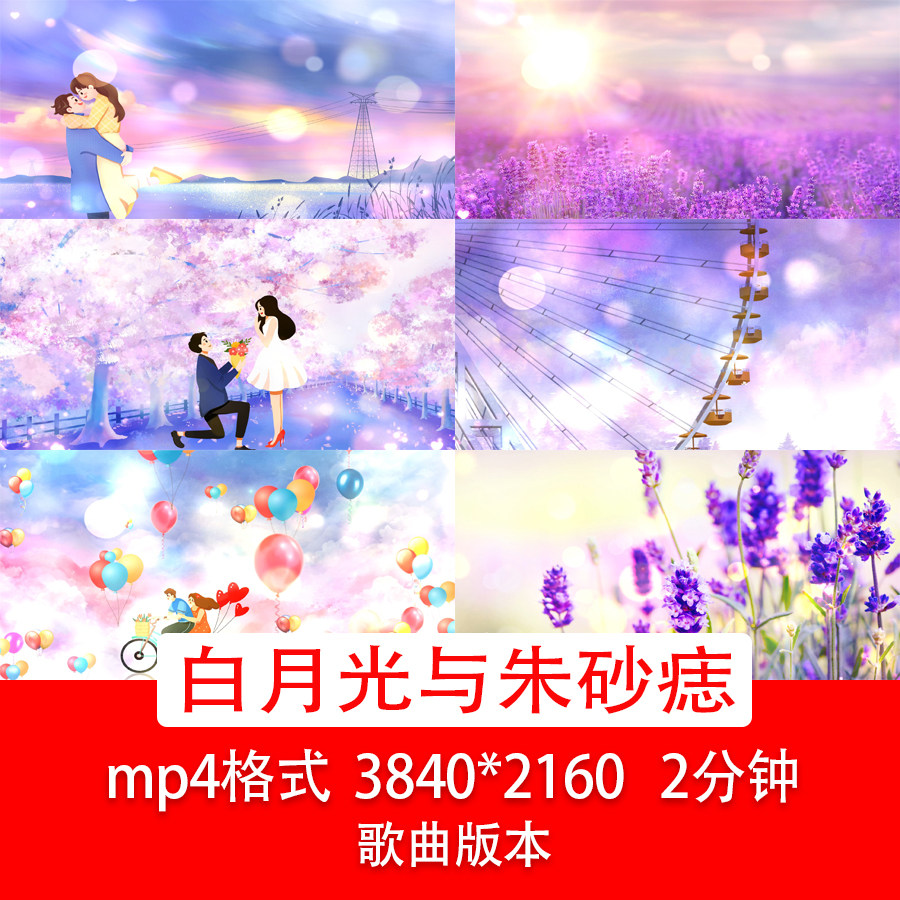 白月光与朱砂痣歌曲视频背景紫色花海浪漫爱情求婚告白背景视频
