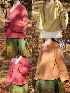 短衫 裳裳者华 弓袋袖 明制直领大襟交领琵琶袖 袄春秋汉服 马卡龙