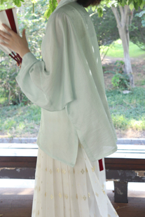 短衫 原创宋制直领对襟醋酸绣花飞机袖 日常汉服 海盐 裳裳者华