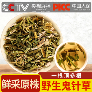 鬼针草中药材500g鬼针草中草药白花三叶鬼针草茶正品虾钳草旗舰店
