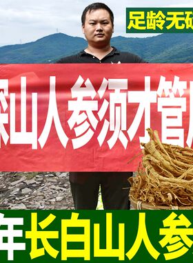 长白山野生人参须500g正品特级