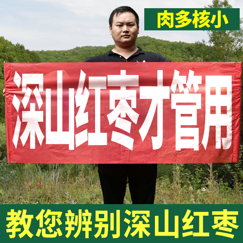 深山纯小红枣500g中药材非特级去核干片水桂圆枸杞煲汤