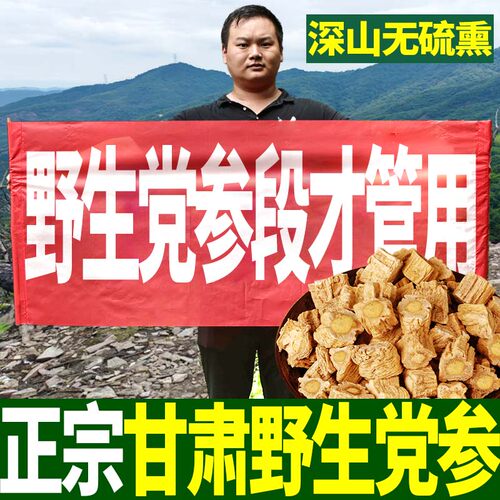 甘肃岷县党参250g克党叁段条当参配当归北芪黄芪片包邮非特级野生