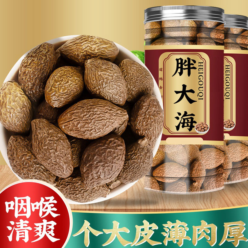 【一粒顶多粒】大果胖大海