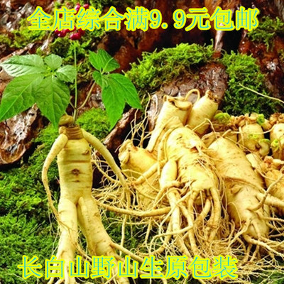 原包装长白山盆栽人参果种子
