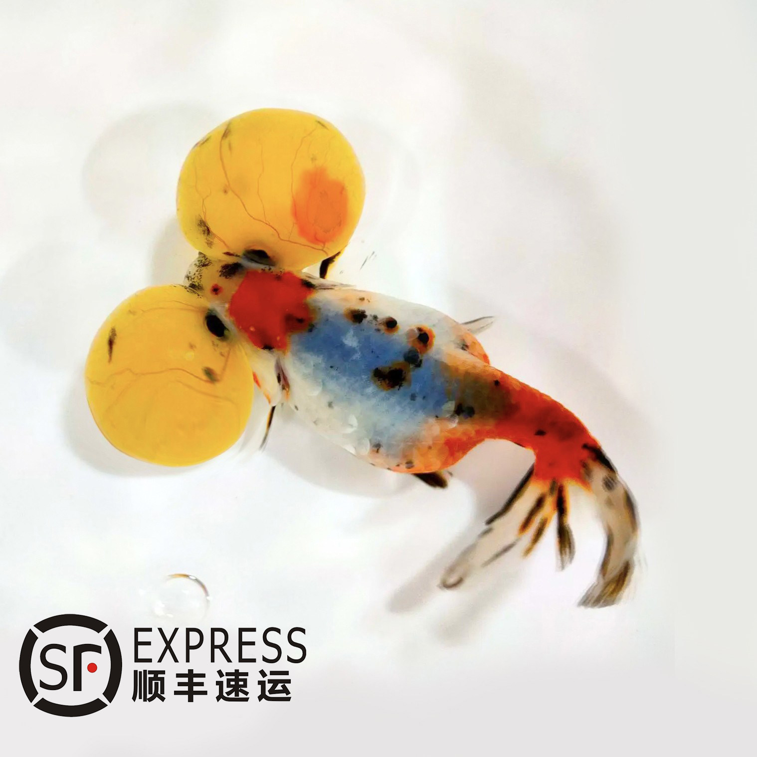 Hldh6anbhvfjfm Hldh6anbhvfjfm