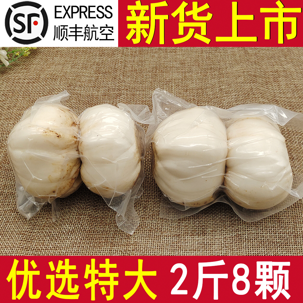 甘肃兰州百合特级大果食用新鲜