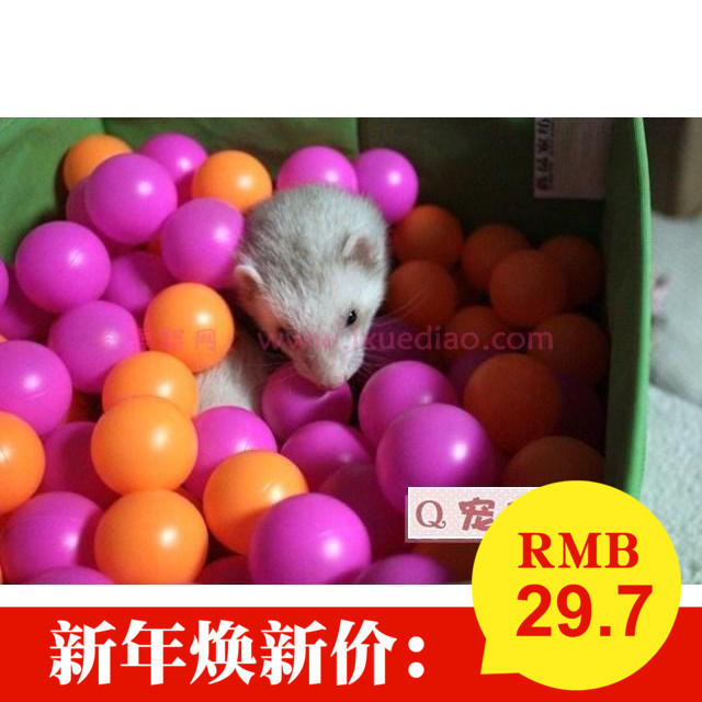 三百个球 双色球 宠物雪貂玩具 无箱子 海洋球 小宠 猫 HIGH翻天|ruв категории животное/Животное питание и принадлежностей, хомяк класса и других малых животное, хорек - от Buy2taobao.com для оказания профессиональной услуги покупки агента Taobao
