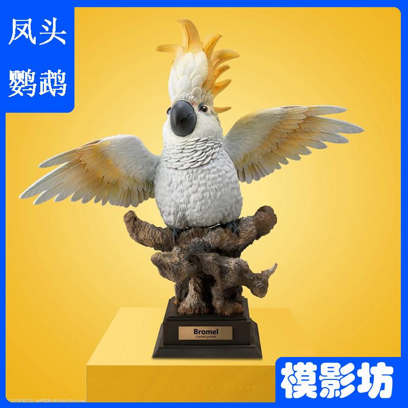 形投艺合丛林型录葵花凤头鹦鹉GK
