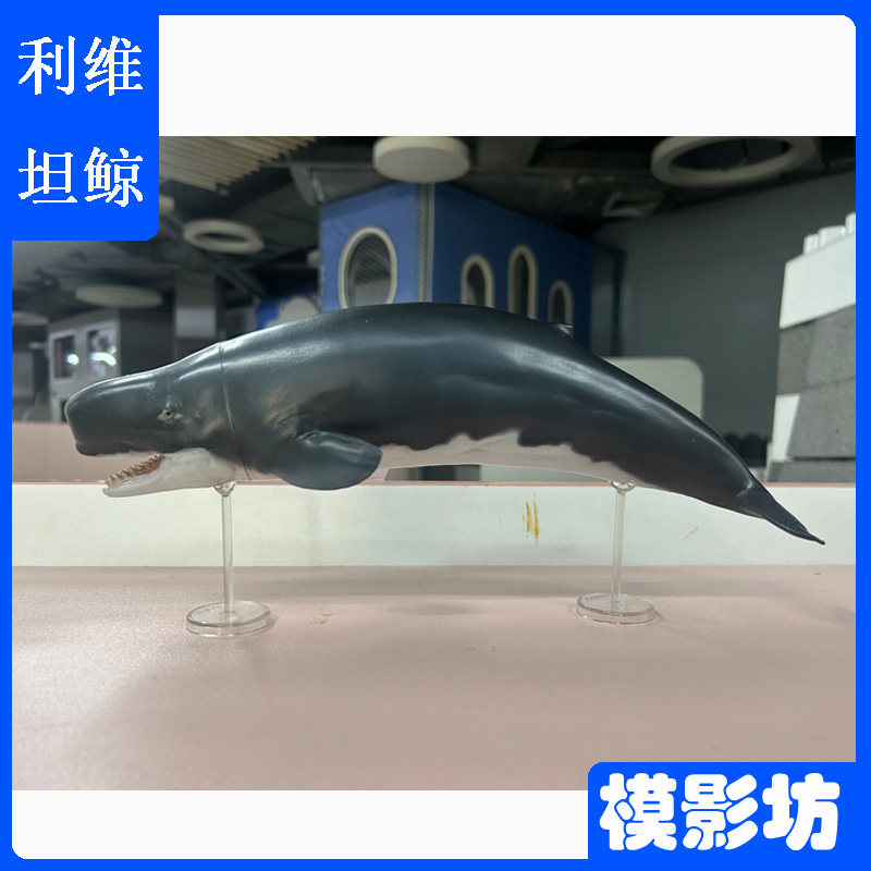 PNSO恐龙大王利维坦鲸史前海洋
