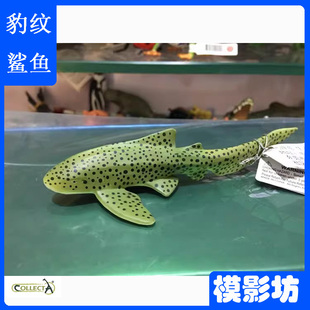 英国CollectA我你他豹纹鲨88614仿真极地海洋动物模型玩具教具PVC