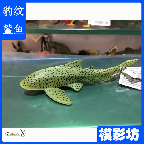 CollectA豹纹鲨88614海洋动物PVC