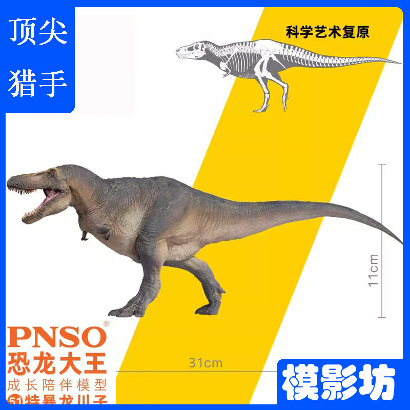 PNSO侏罗纪成长模型仿真霸王龙