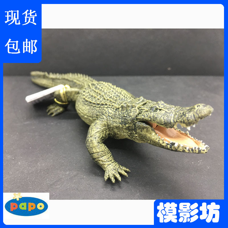 正版PAPO短吻鳄50254鳄鱼仿真野生动物模型玩具2019新品 恐龙后裔