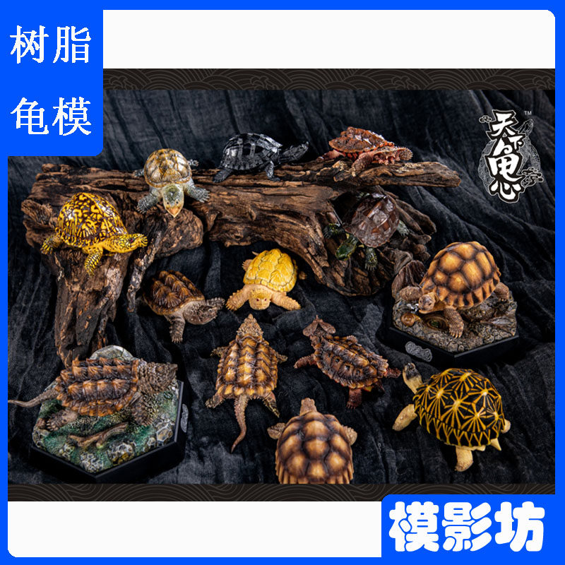 天下龟心掌中宝迷你龟模型龟玩具