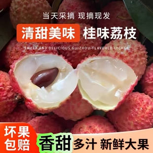 广西灵山老树桂味荔枝新鲜大果现摘现发应季水果香甜多汁顺丰包邮