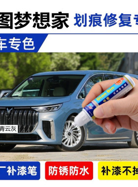 适用岚图梦想家补漆笔皓月银汽车漆划痕修复青云灰色自喷漆杜若白