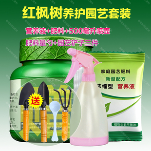 红枫树专用肥料土黄金流泉枫树苗营养液旺长茂盛增色变红叶面肥料