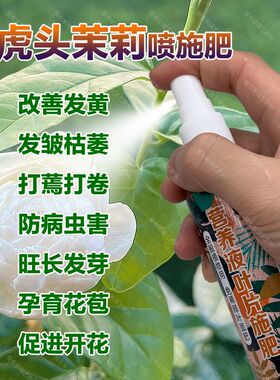 虎头茉莉专用肥肥料茉莉花叶子发黄干枯萎掉叶片卷曲打蔫用营养液