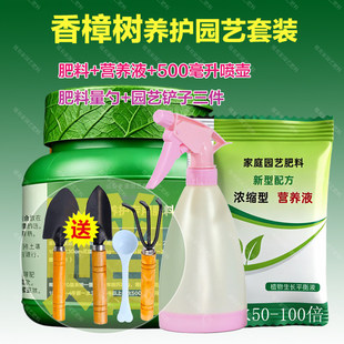 香樟树专用肥种植香樟肥料养料油樟营养液通用型有机肥芳樟颗粒肥