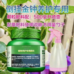 倒挂金钟专用肥料老桩盆栽营养液叶面肥开花旺长生根孕育花苞肥料