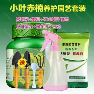 赤楠肥料专用肥营养液专用土叶面肥料喷剂鱼鳞木兰山乌珠小叶赤楠