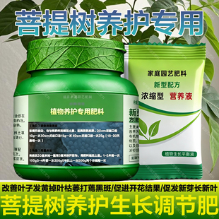 金刚菩提树专用肥料营养液叶子发黄掉咻枯萎软叶打蔫黑斑叶面肥料