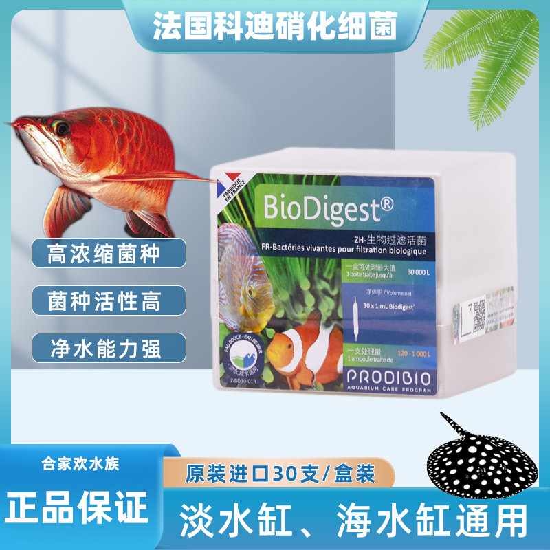 益生菌硝化细菌科迪原装进口