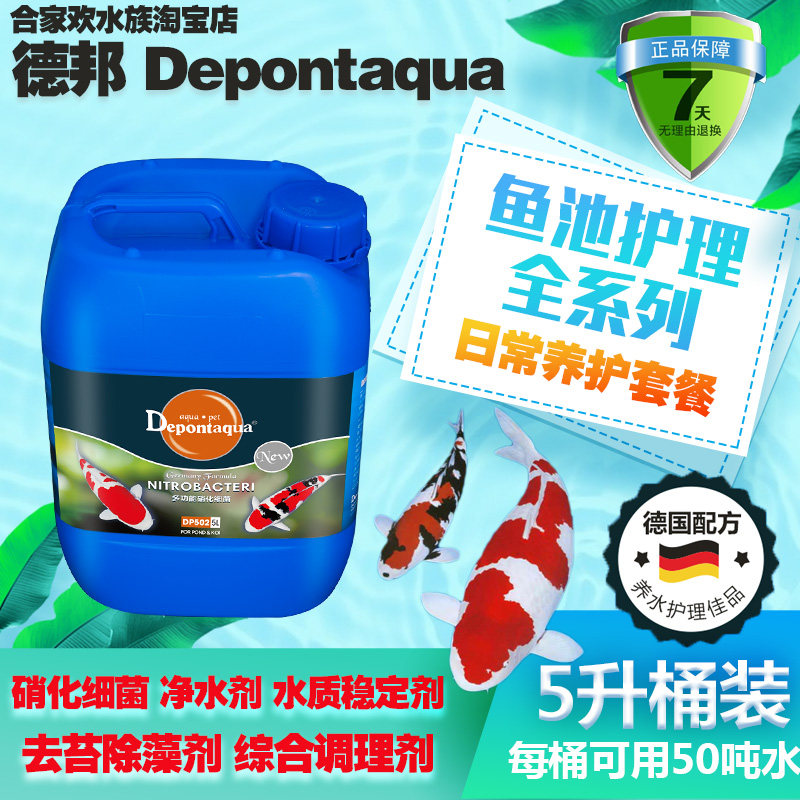 锦鲤鱼池水质硝化细菌综合调理剂