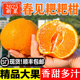 四川春见耙耙柑纯甜化渣孕妇新鲜水果现摘农产品净果10斤彩箱 包邮