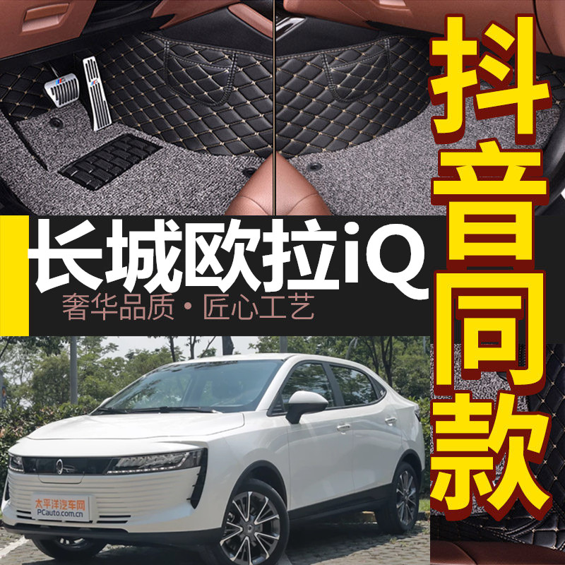 2018/19款长城欧拉iq汽车脚垫