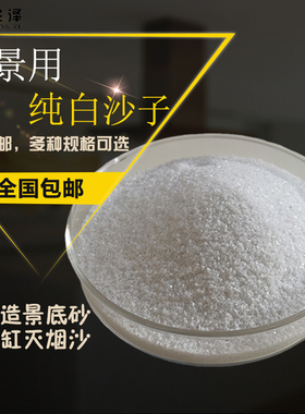 白色石英砂细沙鱼缸底砂水族造景沙烟灰缸灭烟沙沙盘造景沙白沙子