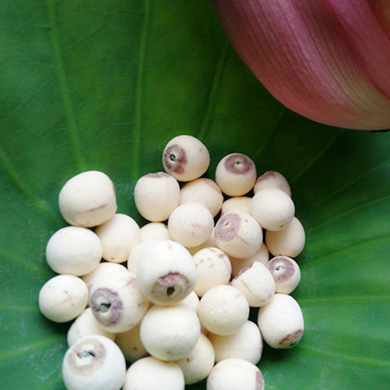 新货湘莲白莲子干货带芯磨皮莲子500g带心白莲子无硫有芯莲