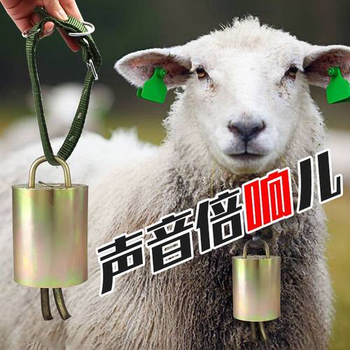 其它宠物用具