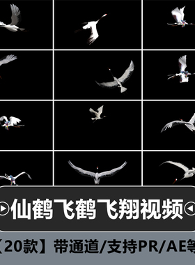 白色仙鹤飞鹤群鹤飞翔带alpha透明通道pr后期ae合成特效视频素材