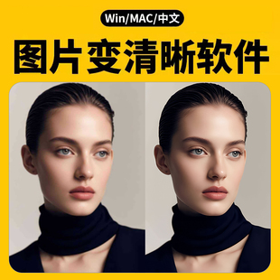 Ai超分辩率图片无损放大模糊变清晰降噪4K画质增强高清修复软件