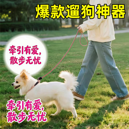 狗狗牵引绳比赛细P绳专业训犬绳
