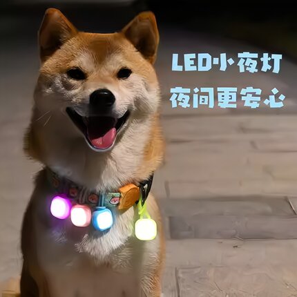 狗狗夜间出行防走失遛狗神器发光吊坠闪光挂坠宠物配饰吊牌夜光灯