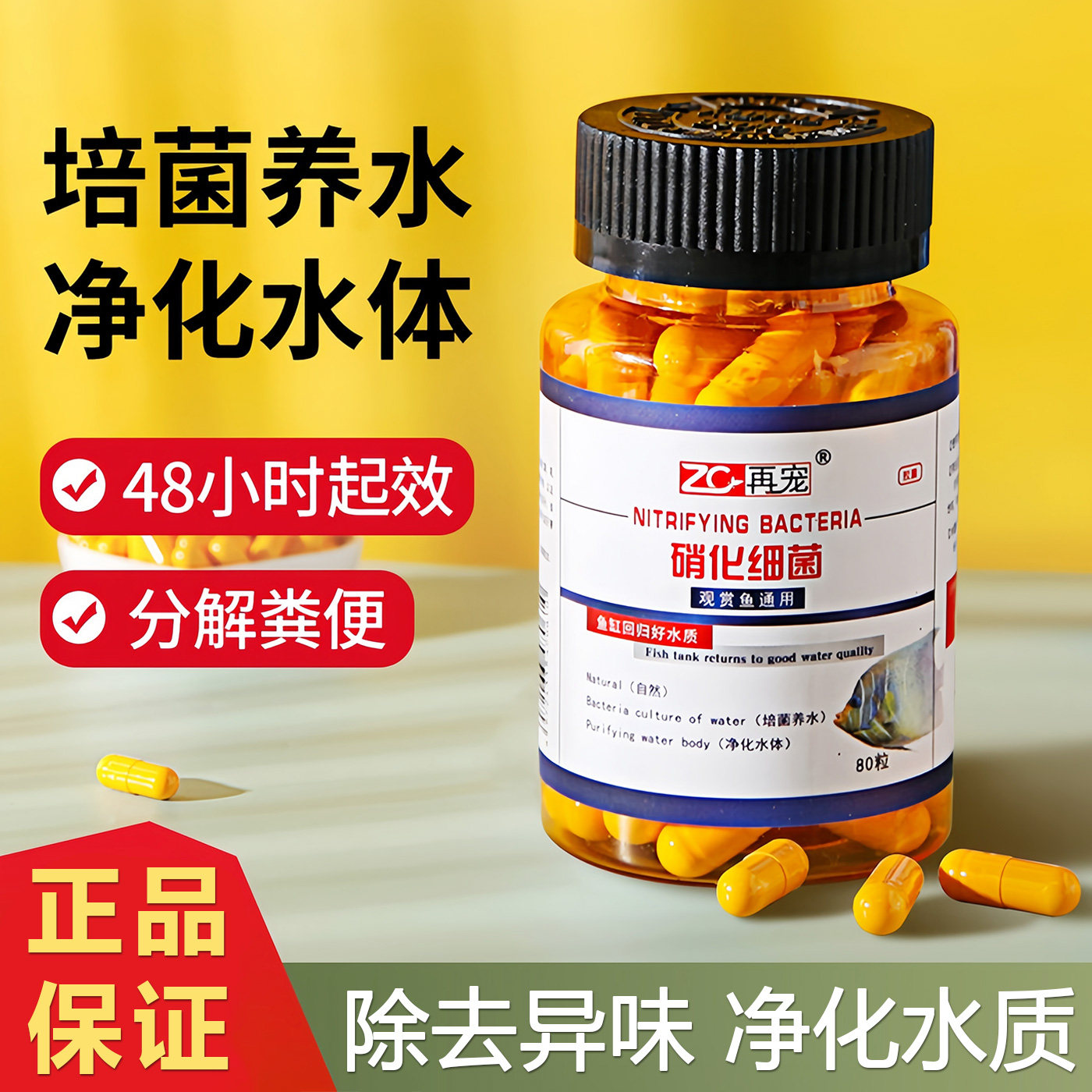 硝化细菌鱼缸专用水族箱乌龟缸净水剂浓缩干粉水质净化消化菌胶囊