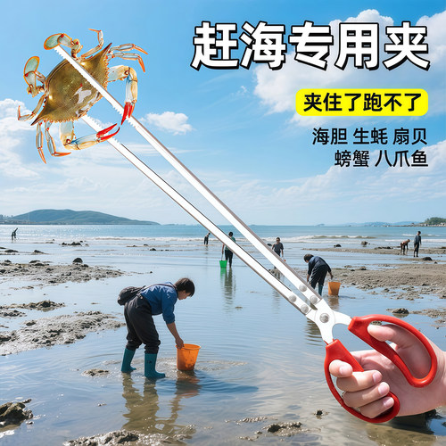 赶海夹子专用黄鳝夹子泥鳅螃蟹钳