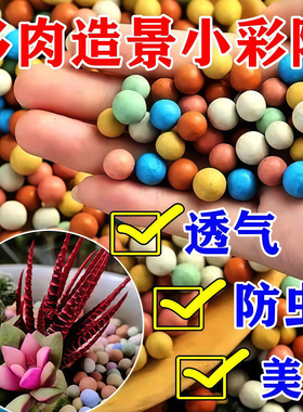 彩色陶粒颗粒花用垫底花卉铺面透气养花水培盆栽铺面石多肉营养