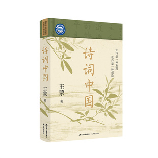 诗词中国 王蒙的古典诗词大师课 诗词鉴赏宝藏读本 随笔小说书 现当代文学中国古诗词 江苏人民出版社 9787214270078